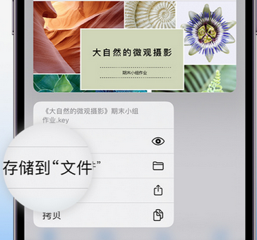 云龙apple维修中心分享iPhone文件应用中存储和找到下载文件