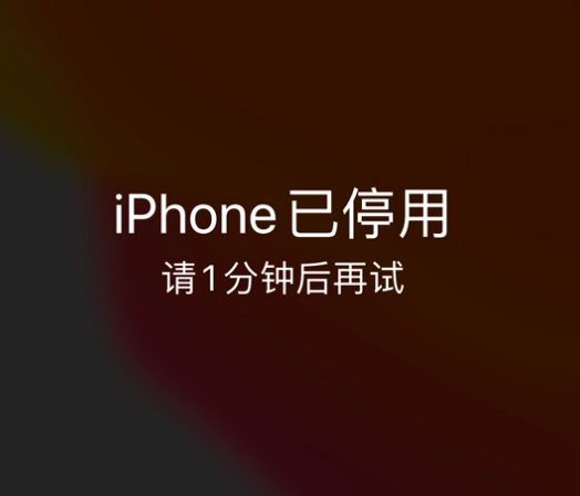 云龙苹果手机维修分享:iPhone 显示“不可用”或“已停用”怎么办？还能保留数据吗？ 