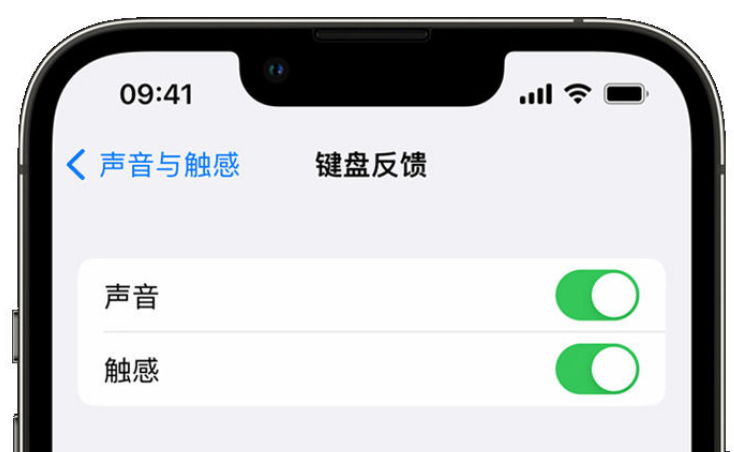 云龙苹果手机维修分享iPhone 14触感键盘使用方法 