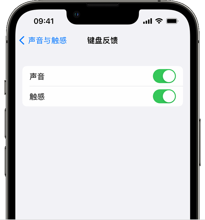 云龙苹果14维修店分享如何在 iPhone 14 机型中使用触感键盘 