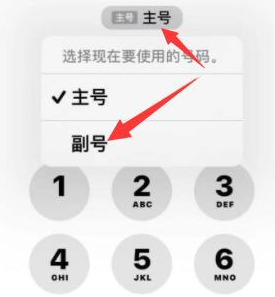 云龙苹果14维修店分享iPhone 14 Pro Max使用副卡打电话的方法 