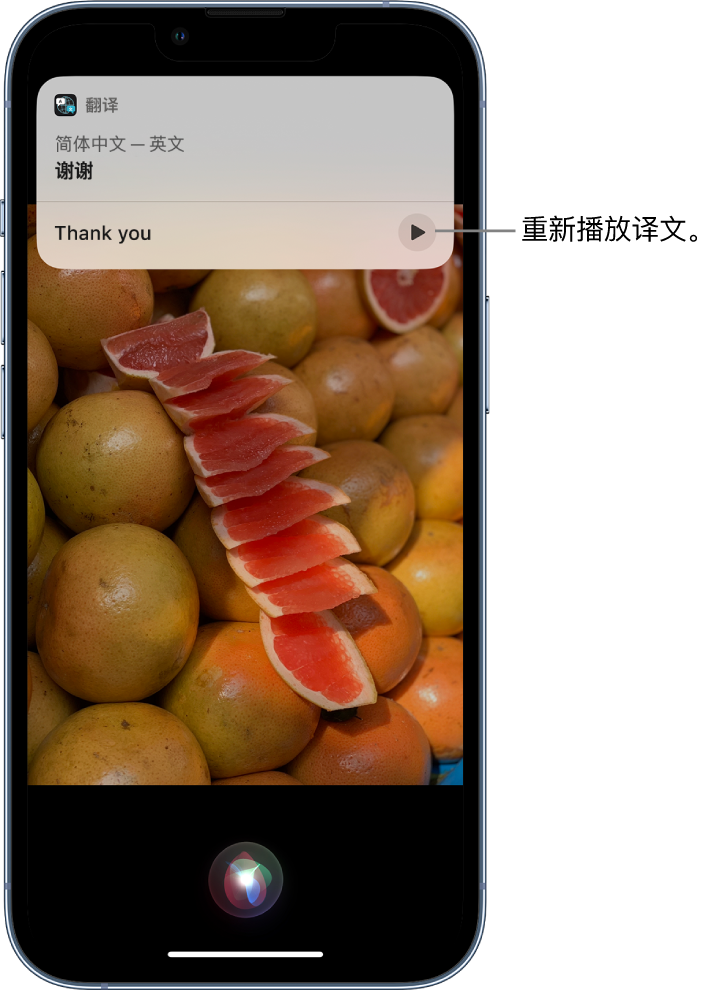 云龙苹果14维修分享 iPhone 14 机型中使用 Siri：了解 Siri 能帮你做什么 