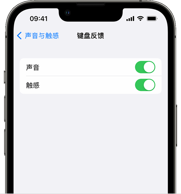 云龙苹果14维修分享iPhone 14 系列机型如何开启键盘声音或触感反馈 