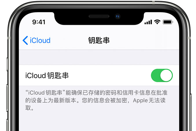 云龙苹果手机维修分享在 iPhone 上开启 iCloud 钥匙串之后会储存哪些信息 