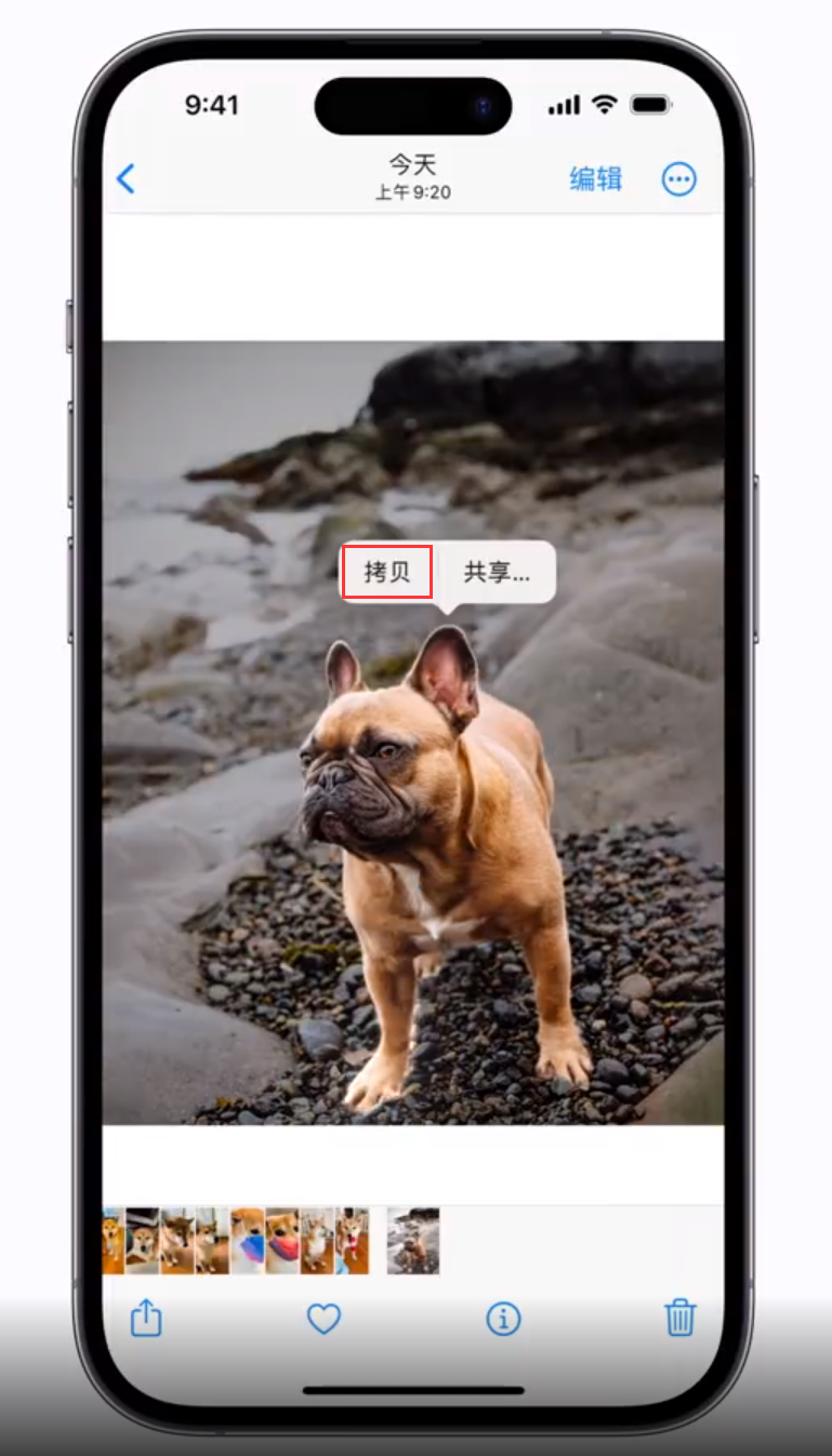 云龙苹果手机维修分享 iOS 16 自带一键抠图功能 