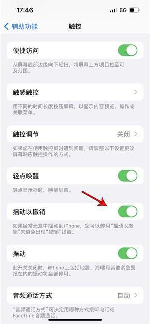 云龙苹果手机维修分享iPhone手机如何设置摇一摇删除文字 