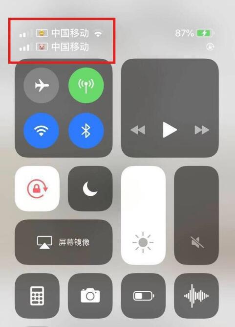 云龙苹果手机维修分享为 iPhone 12 双卡设置标签 