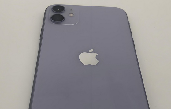 云龙苹果11系统维修分享iPhone11手机系统崩溃无法开机如何解决 